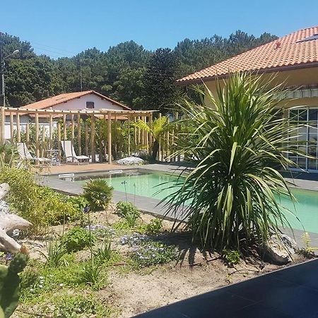 Chambre D'Hotes Avec Terrasse, Meuble Tourisme 1 Etoile Labenne Eksteriør bilde